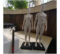 Modelo de Escultura Pintura la Figura la anatomía Humana 30 cm, Modelo de anatomía musculoesquelética Humana, anatomía Masculina y Femenina Figura Esin Artesanías, para Referencia Artistas,A