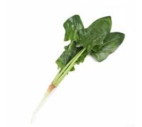 Modelo de espinaca artificial diseñado para aplicación reutilizable en eventos temáticos, configuraciones de catering o creación de contenido de estilo de vida (D)