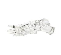 Modelo de esqueleto de articulación de pie transparente, hueso anatómico de anatomía del tobillo izquierdo para médicos estudiantes humanos