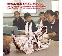 Modelo de Esqueleto de Dinosaurio, Dinosaurio 6.69 * 3.54 * 4.92 Pulgadas con Exquisito Diseño de para Educación y Decoración