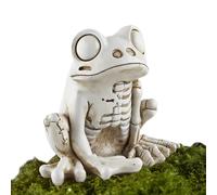 Modelo De Esqueleto De Rana - Escultura Ósea De Rana De Resina, Estatuilla De Anatomía Realista | Halween Animal Skull Decor, Tiny Frog Estatuas para Escena De, Pantalla Espeluznante Y