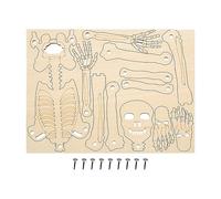 Modelo De Esqueleto Humano - Juguete Educativo De Montaje,Esqueleto Anatómico Detallado,Figura del Cuerpo Humano para Estudio Científico Decoración Halloween