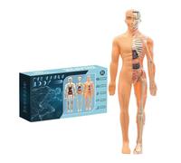 Modelo de Esqueleto Humano para Anatomía 3D - Modelo de Estructura del Cuerpo Humano,Juguete Educativo de Montaje para Niños 6+ Educadores Ciencia Aula Colegio Hogar Adolescentes