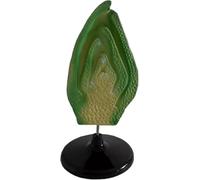 Modelo de estructura de brotes de plantas para educación, herramienta de enseñanza detallada de biología, proyecto de aula de ciencias