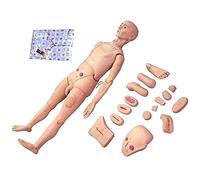 Modelo de Estudio Maniquí de atención al Paciente, simulador de PVC, Modelo Humano para Estudiantes, educación, enseñanza, Habilidades médicas
