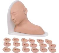 Modelo de examen de oído, modelo de diagnóstico de oído, inspección de lesiones de oído y operación de tratamiento, modelo multifuncional para exhibición artificial de oído humano modelo de enseñanza