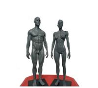 Modelo de figura de anatomía humana de 11,8 pulgadas: referencia anatómica del esqueleto muscular masculino for artistas, estudiantes y docentes