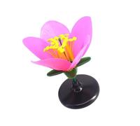 Modelo de flores de plástico desmontable de color auténtico, modelo de enseñanza de escuela secundaria, suministros de educación de ciencias biológicas, modelo de flores de plástico para aula
