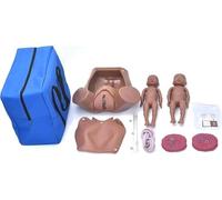 Modelo de formación avanzada en partería, simulador de parto gemelo, con bolsa de transporte for 2 fetos, 2 placentas y 2 cordones umbilicales, ideal for la enseñanza médica.