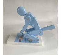 Modelo de fuerza espinal para levantamiento pesas, herramienta didáctica para la protección la columna lumbar, para los principios de fuerza espinal durante el levantamiento de pesas.(Blue)