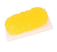 Modelo de grasa 5 libras - anatómica for mantenerse en forma, recordatorio motivación for perder peso, nutricionista, curso ciencias anatómicas