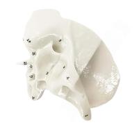 Modelo de hueso etmoide humano, esfenoide anatómico, herramienta de enseñanza médica para estudio, enseñanza, esqueleto, anatomía ósea temporal, ideal para médicos, ortopedia