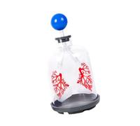 Modelo de intercambio pulmonar humano que demuestra el movimiento del diafragma para la educación respiratoria en el uso en el aula, modelo de intercambio pulmonar