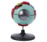 Modelo de la estructura del ojo Estructura interna globo ocular Aprender anatómico humano Laboratorio Enseñanza Educación
