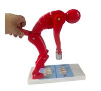 Modelo de levantamiento correcto del cuerpo humano, modelo de demostración de fuerza de columna vertebral al flexionar el cuerpo humano y levantar pesas(Red)