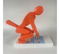 Modelo De Levantamiento Correcto Del Cuerpo Humano, Modelo De Protección De La Columna Lumbar, Postura Correcta Y Protección De La Columna Lumbar For El Fitness Y El Entrenamiento(Orange)