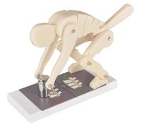 Modelo de levantamiento Pro Correct, modelo de fuerza de la columna vertebral para levantamiento de peso humano, con base, entrenador interactivo de la columna lumbar, entrenador de postura corporal h