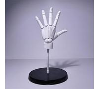 Modelo de mano articulada para dibujar, maniquí a mano izquierda, escala 1:1, articulaciones biónicas de tamaño real, articulable con soporte y base para dibujar, pintar, ilustración de anime, color