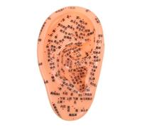 Modelo de Oído para Acupresión Auricular, Pvc Khaki, Ergonómico | Aprendizaje Preciso de Puntos, Diseño Basado en Teoría China Tradicional, Ajuste Cómodo y Seguro