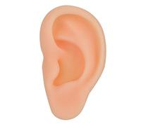 Modelo de Oreja de Silicona, Orejas Falsas Modelo de Oreja Simulado Profesional Práctica de Acupuntura Herramienta de Enseñanza de Masaje Oreja Falsa