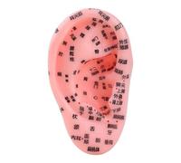 Modelo de oreja, pantalla de reflejo de anatomía, herramienta de aprendizaje de reflexología, diseño detallado claro y preciso, resistente y duradero para la escuela, 5.12 x 2.95 pulgadas