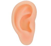 Modelo de Oreja Simulado Profesional, Práctica de Acupuntura, Herramienta de Enseñanza de Masaje, Modelo de Oreja para Demostración de Uso de Ayudas de Sonido, Escaparates de Tiendas(Correcto)