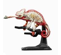 Modelo de Órgano Animal Niño Enseñanza Temprana Modelo Animal De Juguete Con Órganos Extraíbles Parte Del Cuerpo Para