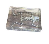 Modelo de órgano Humano, Modelo de Hueso Natural de Rana - Muestra de Resina Transparente - Ejemplares de Rana Real, A, 45 mm