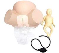 Modelo de partería, Modelos de demostración de Parto, maniquí simulador de Parto de anatomía para enseñanza médica de ginecología