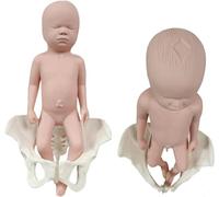 Modelo de pelvis femenina de silicona con bebé, herramienta de entrenamiento para la educación del parto, ayuda de enseñanza de ginecología
