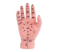 Modelo de pie para mano y oído, herramienta de maniquí de enseñanza para reflexología y ayuda de enseñanza para reflexología de manos y pies