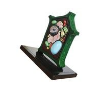 Modelo de planta de juguete, ayuda de aprendizaje, biología, herramienta de enseñanza, modelo de anatomía de plantas para enseñar, exhibición, ciencia celular, anatomía, aprendizaje para estudiar