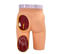 Modelo de práctica de inyección de glúteos, modelo de enseñanza médica para ejercicios de inyección, 3 métodos de entrenamiento realistas para estudiantes de medicina y enfermeras