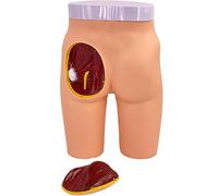 Modelo de práctica de inyección de glúteos, modelo de entrenamiento realista para técnicas de inyección, ideal para educación de enfermería y desarrollo de habilidades