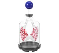 Modelo de Pulmón Respiratorio de Plástico para Demostración Interactiva | Estructura Transparente, Aprendizaje Práctico, Lecciones de Fisiología y Educación Médica, para Estudiantes y Familias