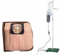 Modelo de punción espinal, modelo de entrenamiento de punción espinal for adultos, modelo de entrenamiento clínico de anestesia espinal y epidural, for aprendizaje, instrucción