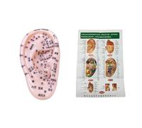 Modelo De Punto De Acupuntura Auricular,Herramienta Educativa De Masaje Modelo De Oreja,Blando De Pvc Para Estudio De Anatomía Del Oído,Con Un Mapa De Acupuntura Auricular,Kiuiom