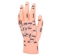 Modelo de punto de acupuntura manual, modelo de reflexología manual PVC Letras de alta definición para aulas de escuela para escuela de medicina para educación