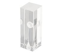 Modelo de Raíz de Canal, Bloque de Ejercicio de Raíz de Canal Acrílico Transparente Pantalla Transparente Modelo de Raíz de Endodoncia Oral Curvo Modelo de Estudio de Canal, para Estudiar Y Enseñar