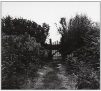 Modelo De Respuesta Polar - El Cariño