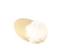 Modelo de simulación de mamas de silicona femenina humana con base para enseñar masaje de prolactina y lactancia materna a mujer lactante, estudiante, doctor (individual)