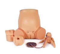 Modelo de simulación de parto con pared abdominal transparente y articulaciones flexibles, ayuda de enseñanza de obstetricia para entrenamiento de partería y mejora de habilidades