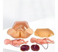 Modelo de simulación de parto para entrenamiento de partería, incluye 2 fetos, cordón umbilical, placenta y bolsa de transporte para una práctica integral de habilidades
