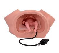 Modelo de simulador de Parto de tamaño Natural, Modelo de Entrenamiento de partería para distocia con Bolsa Inflable Ajustable para Simular el tamaño uterino, Utilizado para Entrenamiento de Parto