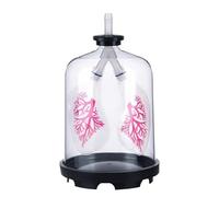 Modelo de Sistema Respiratorio, Modelo de Respiración Pulmonar, Demostrador de Simulación de Movimiento de Diafragma, Ayudas para La Enseñanza de Biología, para Exhibición de Estudio En El Aula