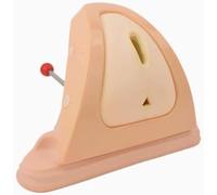 Modelo de sutura perineal, modelo de anatomía del sistema reproductor femenino, modelos de práctica de sutura de corte de perineo, for ayuda en formación médica y habilidades básicas de