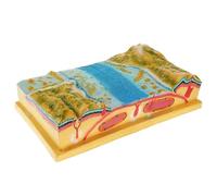 Modelo de tectónica de placa 3D para educación geográfica, demuestra los procesos geológicos de la Tierra, ideal para enseñanza de secundaria y secundaria