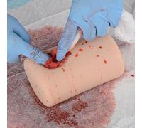 Modelo De Trauma Simulado, Entrenador De Torniquete para El Control De Hemorragias, Detenga el Kit de Entrenamiento de Hemorragia para Clases Médicas, Práctica de Primeros Auxilios