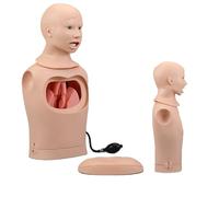 Modelo de Tubo Gástrico de Intubación Con Simulación de Cuidado de la Tráquea Desmontable, Modelo de Tubo Dástrico de Intubación para Anatomía y Fisiología