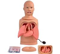 Modelo de tubo gástrico de intubación, tubo nasogástrico avanzado y modelo de cuidado de la tráquea, kit de ayuda didáctica para la gestión de las vías respiratorias para educación médica